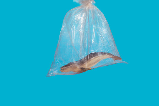whale in plastic bag concept of plastic pollution and waste in the oceans