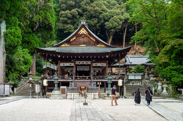 Fototapeta premium japanese shrine