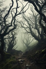 Misty spooky forest background, gloomy trees in scary horror foggy woods Happy Halloween dark night creepy nature mist fantasy atmosphere mystery dramatic landscape fall nightmare scenery. Copy space
