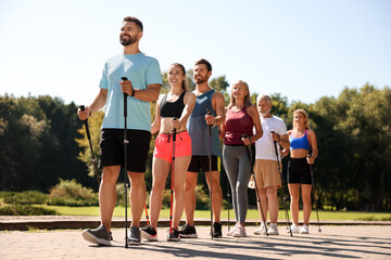 Obraz premium Group of people practicing Nordic walking with poles in park on sunny day