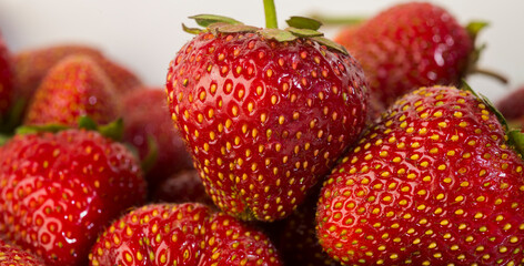 strawberry closeup for banner background