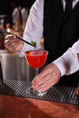 Bartender preparing fresh Martini cocktail in glass at bar counter, closeup