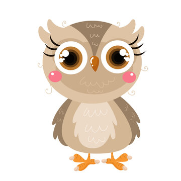  vector cute owl  cartoon vector icon illustration