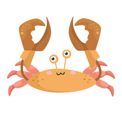 vector cute crab illustration character