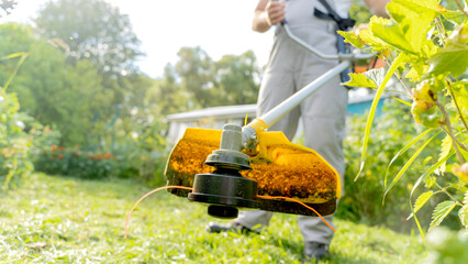the gardener mows the grass in the garden with a grass trimmer