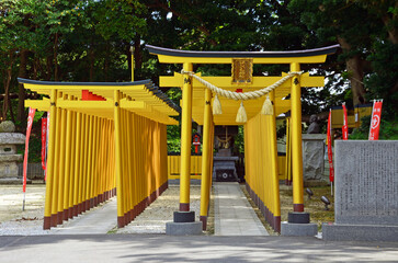 Yellow torii gates at Hoshiimo Shrine in Ibaraki Prefecture, Japan
