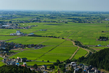高台から見る上越市の田園風景