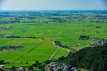 高台から見る上越市の田園風景