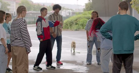 Girl leads a group of peers. Social Gathering for Dance moves in the city. Spending time with friends enhances mental health, fosters social skills. Digital detox creates lasting memories outdoors.