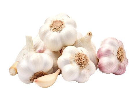 garlic isolated on white