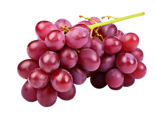 Fototapeta premium red grapes isolated on white