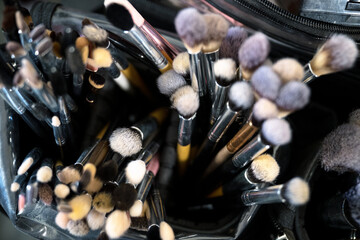 landscape of makeup artist brushes and bristles