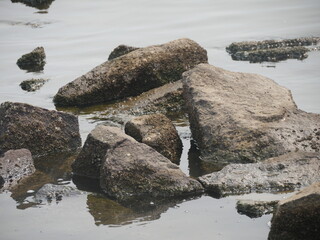 Rocks in the ocean