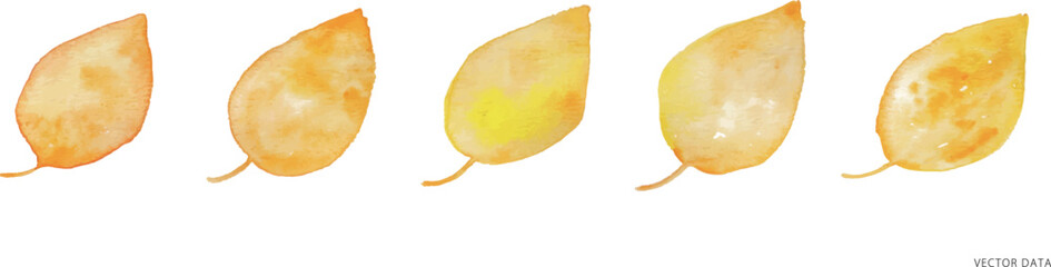 水彩画。水彩タッチの秋の紅葉ベクターイラスト。手描きの水彩秋葉っぱフレーム。
Watercolor. Watercolor touch autumn leaves vector illustration. Hand painted watercolor autumn leaves frame.