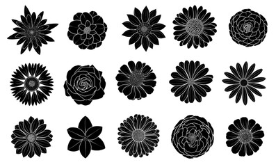 Set of black and white flowers silhouette, flower shapes, roses, gerbera, daisy, orchid, camellia