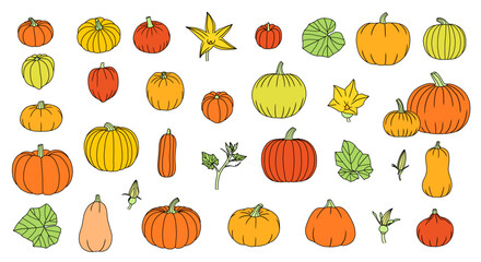 Colourful Pumpkin Element Set, Pumpkin Leaves, Flowers, Buds, Fruits, Halloween, Fall, Autumn, Thanksgiving Pumpkin & Squash