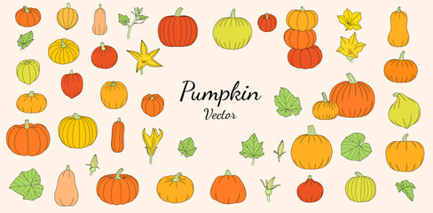 Pumpkin Element Set, Pumpkin Leaves, Flowers, Buds, Fruits, Halloween, Thanksgiving Decors