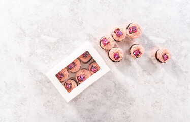 Obraz na płótnie Canvas Chocolate strawberry cupcakes