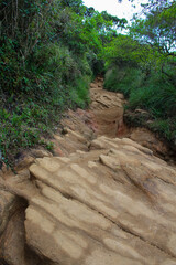 Hiking Trail, grassy plains and hills, in Horton Plains National Park