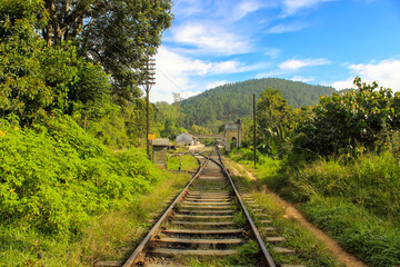 Hike through train tracks to Ella Rock, Sri Lanka