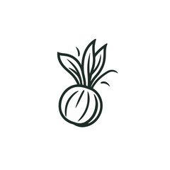 illustration of a vegetable