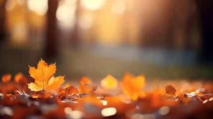 Naklejka na ściany i meble Fall leaves on blurred background