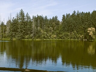 Fototapeta na wymiar View across still lake to treelined far shore, with vintage effect. 
