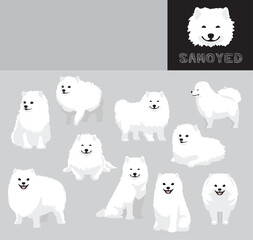 Dog Samoyed Cartoon Vector Illustration Color Variation Set