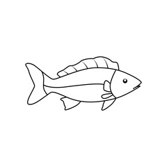 Draw fin fish icon. Line illustration of draw fin fish vector icon logo isolated on white background.