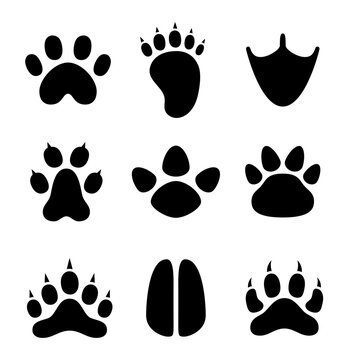 Animal paw print. Silhouette image. Different traces of wildlife. Vector drawing. Collection of design elements.