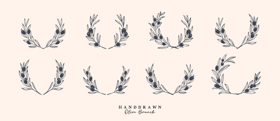 Olive Branch for olive oil logo or olive icon, hand drawn olive branch botanical herbs elements in vector format, floral olive frame and floral wreath
