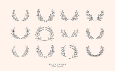 Olive Branch for olive oil logo or olive icon, hand drawn olive branch botanical herbs elements in vector format, floral olive frame and floral wreath
