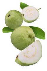 Guava fruit isolated on a transparent background