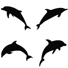 set of dolphins
