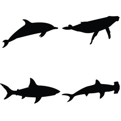 silhouette of sharks