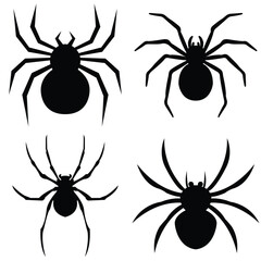 set of spider
