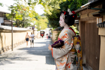 Fototapeta na wymiar 京都祇園の舞妓のイメージ