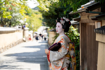 京都祇園の舞妓のイメージ