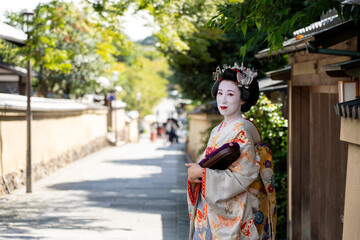 京都祇園の舞妓のイメージ写真