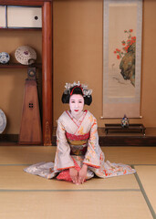 京都祇園の舞妓のイメージ