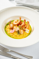 risotto with shrimps and sauce