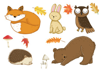 set of animals in autumn