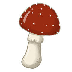 Mushroom