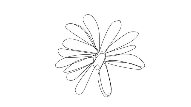 Continuous Line Magnolia Flower Vector Icon, Monoline Flowering Magnolia Stellata, One Line Star Magnolia Silhouette