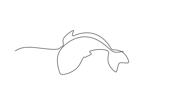 Continuous Line Fish Icon, Monoline Fishing Symbol, One Line Tuna Silhouette, Salmon Sign, Fish Endless Shape