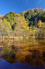 盛秋の上高地　田代池