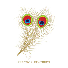 Obraz premium Peacock feathers PNG