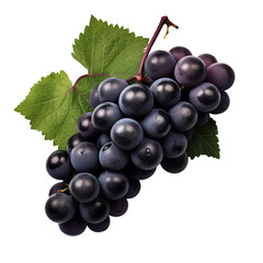 Fototapeta premium Black grape cluster photograph, transparent object