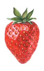Red strawberry watercolor illustration. Fresh sweet berry isolated on white background