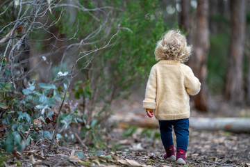 toddler hiking in the forest on a path. kids walking in the forest